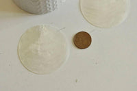 Pendentif rond nacre blanche, pendentif coquillage, coquillage blanc,nacre,coquillage naturel,création bijoux,60mm, x1 G0094