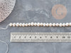 Perle Ronde eau douce naturelle blanc 6~8mm, perle de culture , fil de 17cm, x1 (G9149)