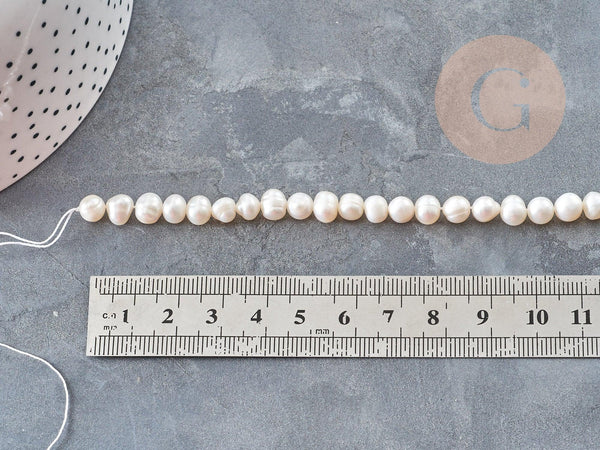 Perle Ronde eau douce naturelle blanc 6~8mm, perle de culture , fil de 17cm, x1 (G9149)