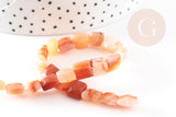 Perle carrée en agate naturelle orange, 8-8.5mm, fil de 20cm, x1 (G5879)