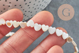 Perle coeur nacre blanche naturelle 6mm ,perle coeur nacre,coquillage blanc, fil de 39cm, x1 (G5862)
