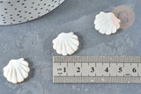 Perle coquillage nacre blanche naturelle 19.5mm, x2 (G7379)
