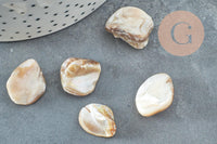 Perle coquillage naturel nacre nugget 18-22mm,x5 (G2650)