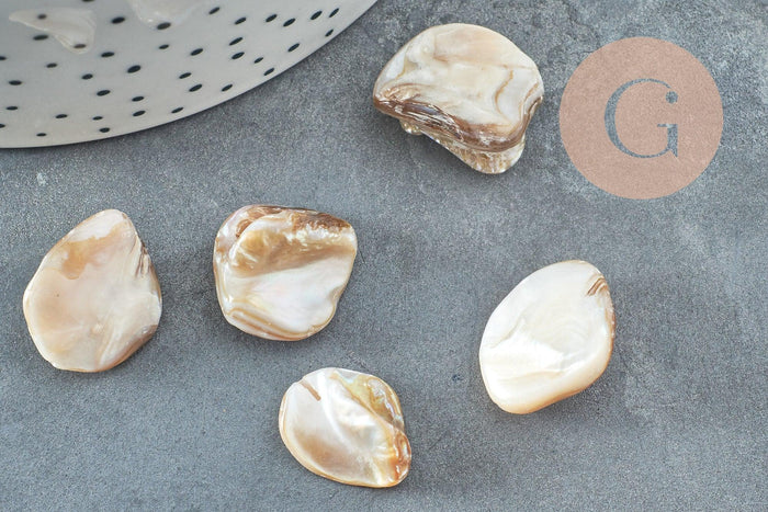 Perle coquillage naturel nacre nugget 18-22mm,x5 (G2650)