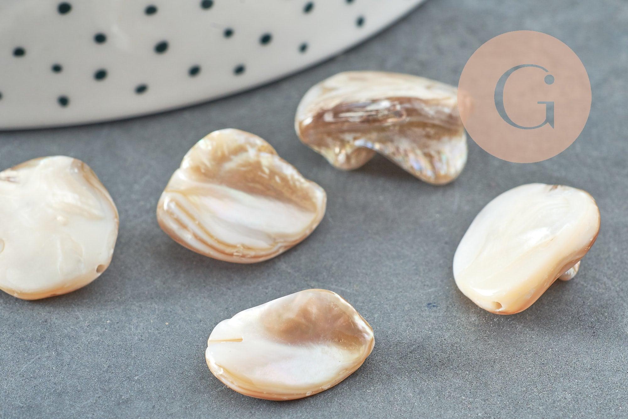 Perle coquillage naturel nacre nugget 18-22mm,x5 (G2650)