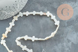 Perle croix nacre blanche naturelle, perle croix, coquillage blanc,12mm, le fil de 38cm, x1 G3053
