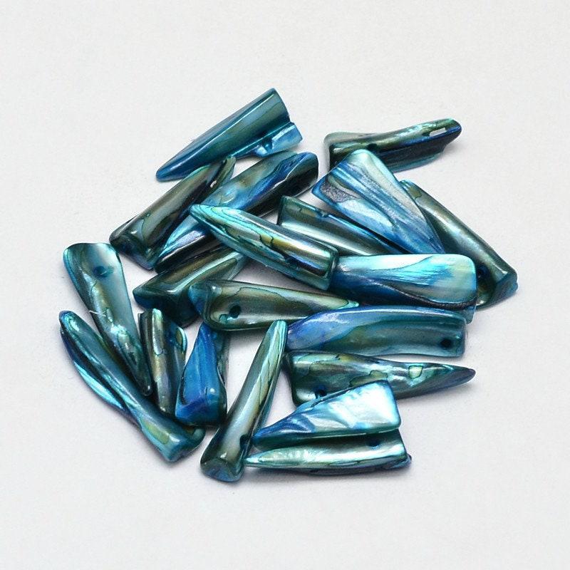 Perle dent coquillage naturel bleu 22-35mm, x10 (G5901)
