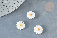 Perle fleur marguerite nacre naturelle 12mm, création bijoux coquillage, x1 G8229