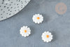 Perle fleur marguerite nacre naturelle 12mm, création bijoux coquillage, x1 G8229
