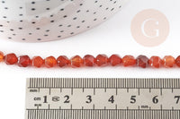 Perle hexagone cornaline naturelle, pierre naturelle, 6-7mm, fil de 38cm, x1 (G4371)