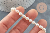 Perle naturelle blanche grain de riz 5-7mm grade A, x1 fil de 18cm (G6832)