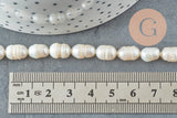 Perle naturelle blanche ovale eau douce 8.5-12mm, perle de culture percée ,fil de 35cm, x1 (G9581)