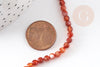 Perle ronde agate naturelle orange facettée 4mm, x1 fil de 35cm (G4481)