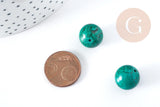 Perle ronde howlite de synthèse teintée vert 12mm, x5 (G8286)