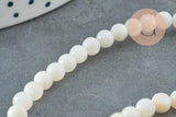 Perle ronde nacre coquillage blanc, le fil de 37cm, x1 (G5601)