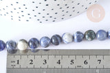 Perle ronde sodalite bleue naturelle 8-8.5mm, x1 fil de 38cm (G7072)