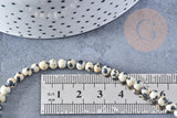 Perles Rondes jaspe dalmatien 4mm, x1 fil de 38cm (G8698)