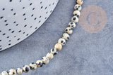 Perles Rondes jaspe dalmatien 4mm, x1 fil de 38cm (G8698)