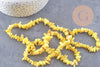 Perles chips de coquillage naturel jaune, 20mm,le fil 76cm, x1 (G8049)