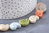Perles coquillage escargot porcelaine multicolore 20.5mm, x1 fil de 35cm (G10325)