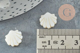 Perles coquillage nacre blanche naturelle 12mm, x2 (G3653)