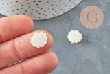 Perles coquillage nacre blanche naturelle 12mm, x2 (G3653)