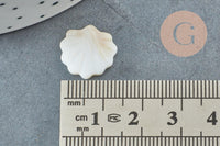 Perles coquillage nacre blanche naturelle 15.5mm, x2 (G3424)