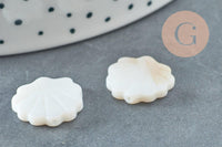 Perles coquillage nacre blanche naturelle 15.5mm, x2 (G3424)