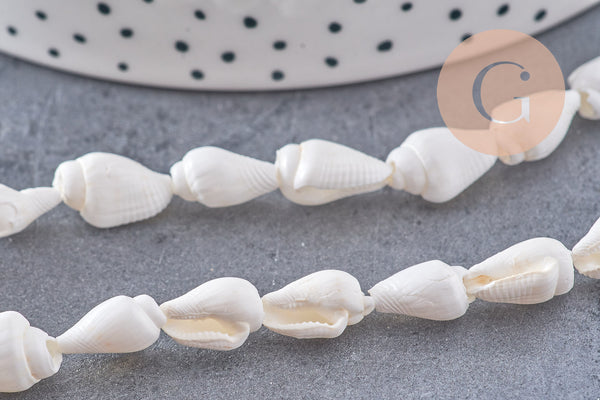 Perles coquillage naturel percés blanc, x1 fil de 135 (G7987)