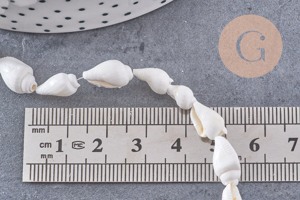 Perles coquillage naturel percés blanc, x1 fil de 135 (G7987)