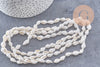 Perles coquillage naturel percés blanc, x1 fil de 135 (G7987)