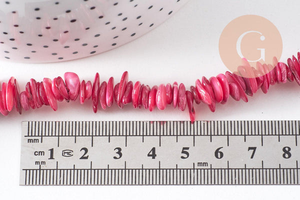 Perles coquillage naturel rose 8-28mm, fil de 75cm x1 (G1029)