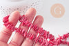 Perles coquillage naturel rose 8-28mm, x1 fil de 75cm (G1029)