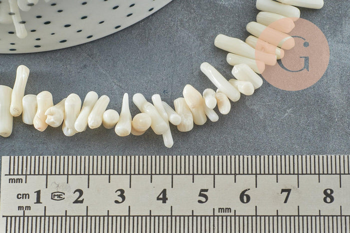 Perles en corail blancnaturel 3-12mm, x1 fil 40cm (G0985)