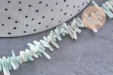 Perles en corail turquoise,perles corail, corail naturel,perle coquillage,coquillage bleu, fil 38cm x1 (G0987)