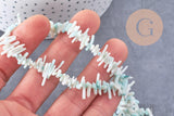 Perles en corail turquoise,perles corail, corail naturel,perle coquillage,coquillage bleu, fil 38cm x1 (G0987)