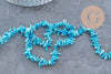 Perles en corail turquoise,perles corail, corail naturel,perle coquillage,coquillage bleu,fil 38cm x1 (G0986)