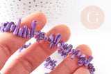 Perles en corail violet,perles corail, corail naturel,perle coquillage,coquillage violet, fil 38cm, x1 (G0980)