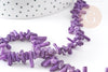 Perles en corail violet,perles corail, corail naturel,perle coquillage,coquillage violet, fil 38cm, x1 (G0980)