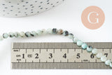 Perles jaspe sésame,jaspe bleuté,perles jade,perles pierre,jaspe naturel, 4mm, fil de 90, X1 (G0952)