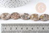 Perles ovales en jaspe sésame naturel 18x13mm, x5 (G3532)