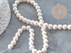 Perles rondes coquillage naturel blanche nacrées 8mm, x1 fil de 40cm (G9034)