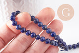 Perles rondes lapis lazuli naturel 6mm, x1 fil de 20cm (G4069)