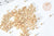 Perles tube or clair métallisé mat façon Delica miyuki, x1 Sachet 8g (G7777)