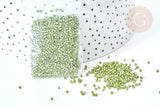 Perles tube verre vert métallisé mat façon Delica miyuki, x1 Sachet 8g (G7773)