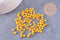 Petite perle rocaille verre rayé jaune rouge 3x4.5mm, x10 Gr (G10683)