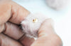 Pompon fourrure rose support doré 21mm,décoration pompon imitation fourrure x2 G4496