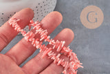 EP-pink coral beads, coral beads, jewelry making, natural coral, shell bead, pink shell, 38cm thread, G3089