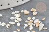 Sable chips coquillage nacre naturelle beige blanc 2-5mm non percé, x20gr (G9309)