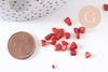 Sable chips corail naturel rouge 3-9mm non percé, x20gr (G0257)